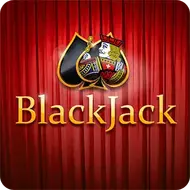 Traditional Blackjack game on green baize felt