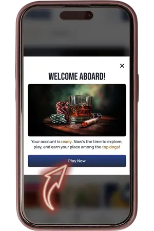 Welcome Aboard screen after SpinDog sign up