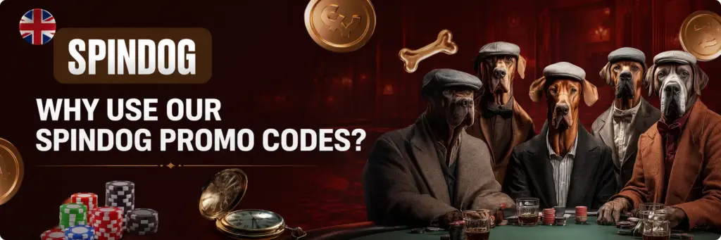 Why Use Our Spindog Casino Promo Codes