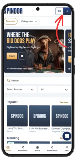 spindog casino cash