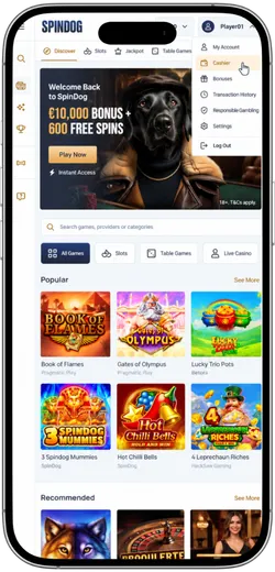 Player account menu open on SpinDog with the cashier section highlighted.