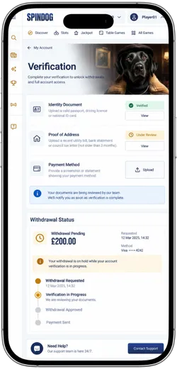 SpinDog verification page showing document checks and a pending withdrawal status.