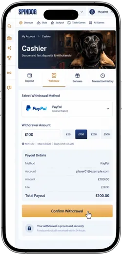 Withdrawal form on SpinDog with the amount entered and the confirm withdrawal button highlighted.