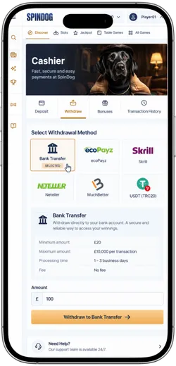 SpinDog cashier page showing available withdrawal methods with Bank Transfer selected.